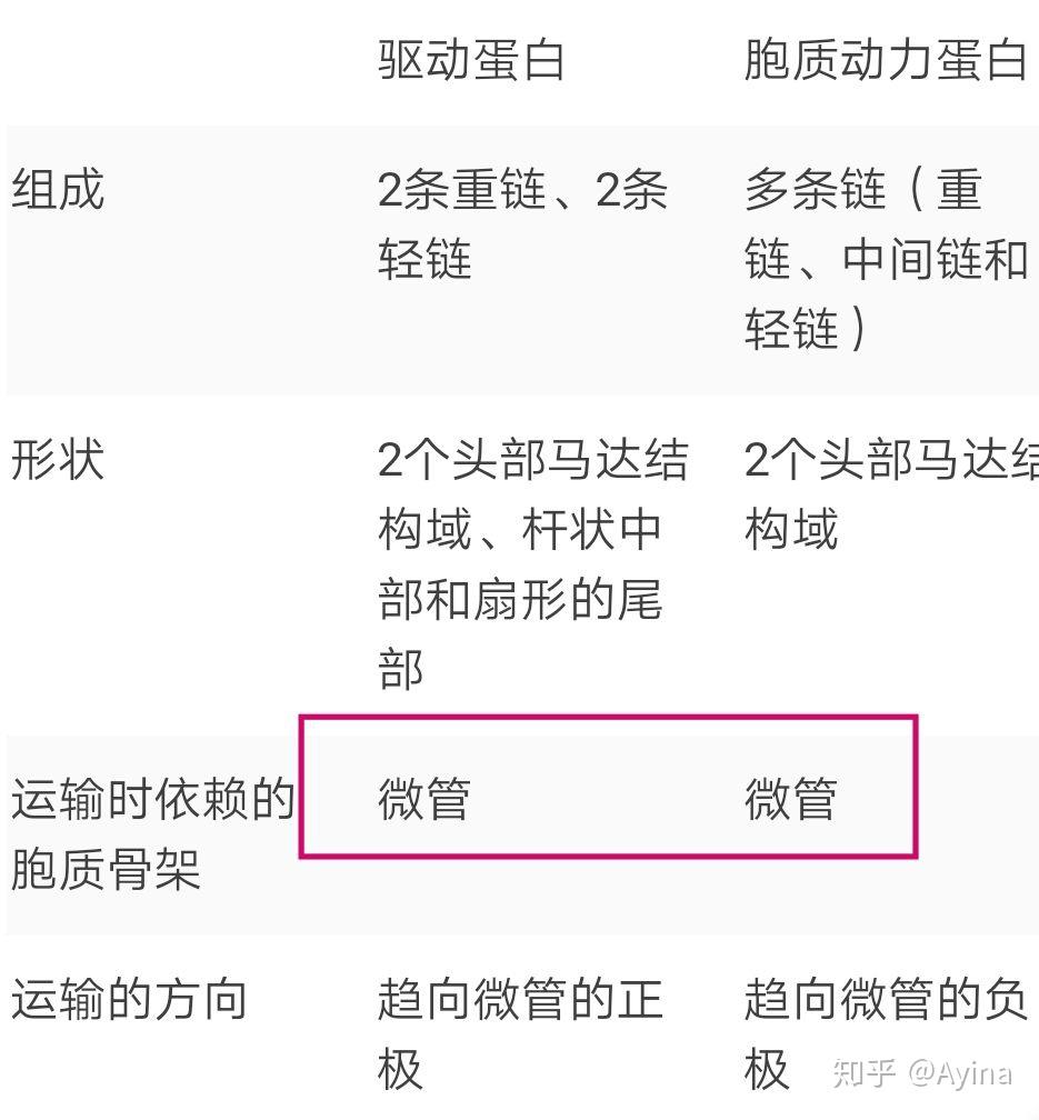 这个是真的吗这是一个肌球蛋白拖着一个内啡肽走在一个单纤维上然后大