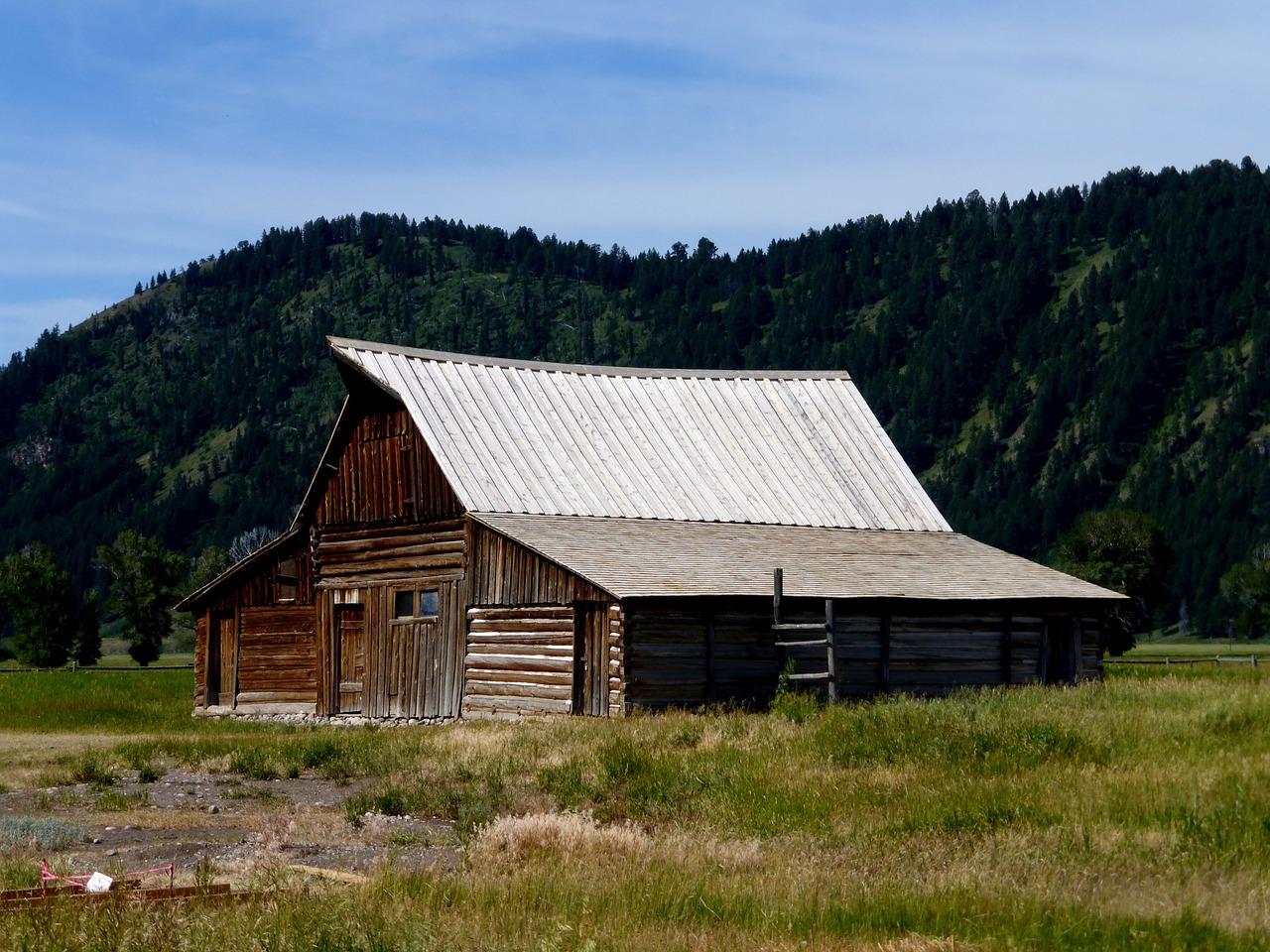 5. 用户评价汇总