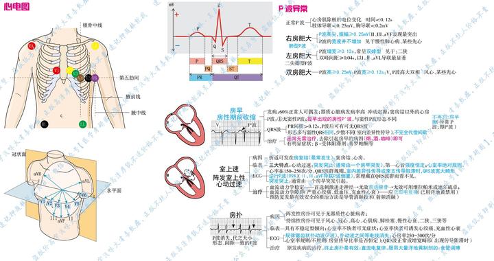 速记循环系统心脏杂音听诊区听诊部位巧记心血管系统杂音听诊区