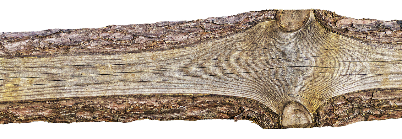 4. 旺子女运住宅选