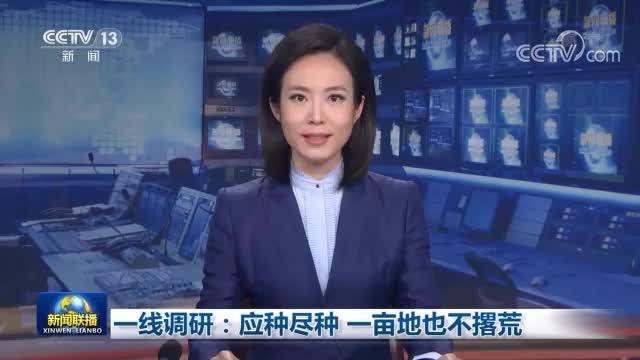 一亩地种地能赚多少(一亩地种田能赚多少钱)