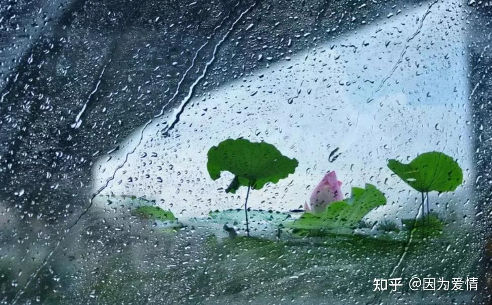形容雨的诗句 知乎
