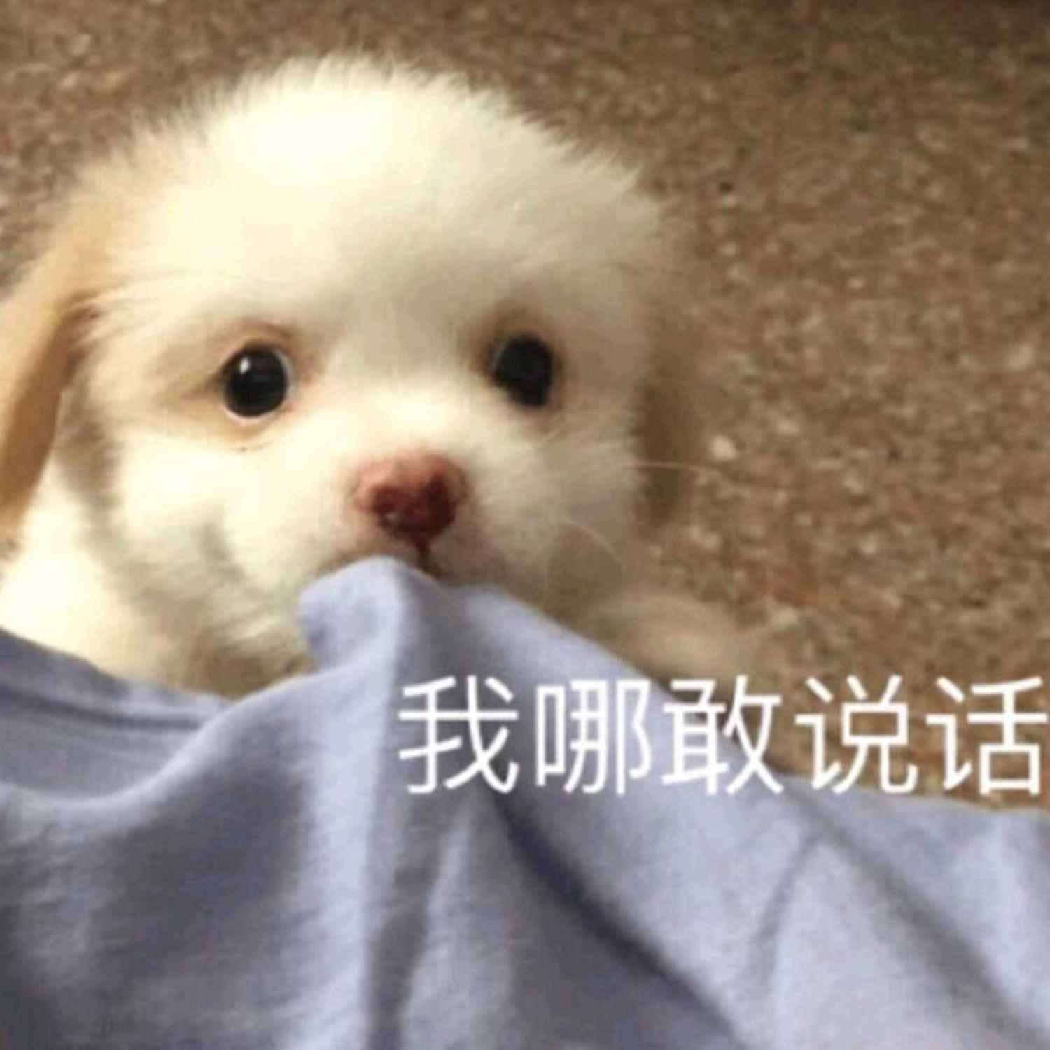 有哪些微信迷你可爱适合女孩子的表情包? - 知乎