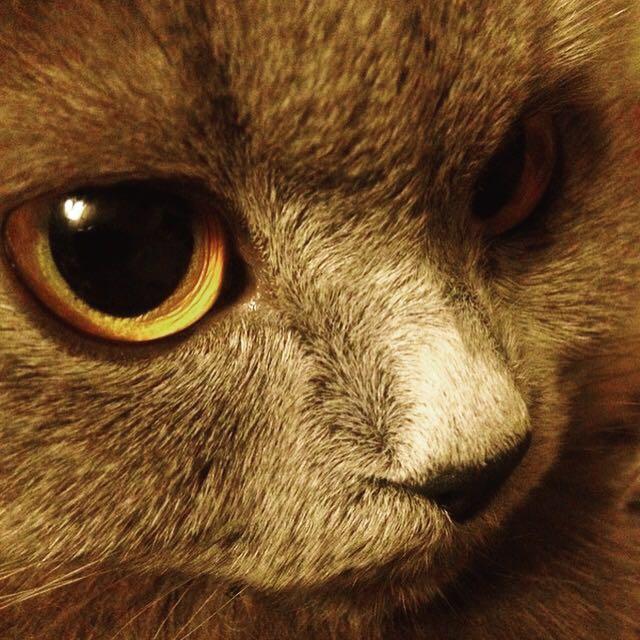 女生有一双好看的眼睛是一种怎样的体验