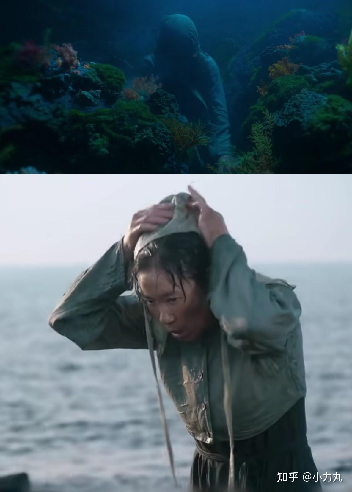 日本的海女是什么? - 知乎