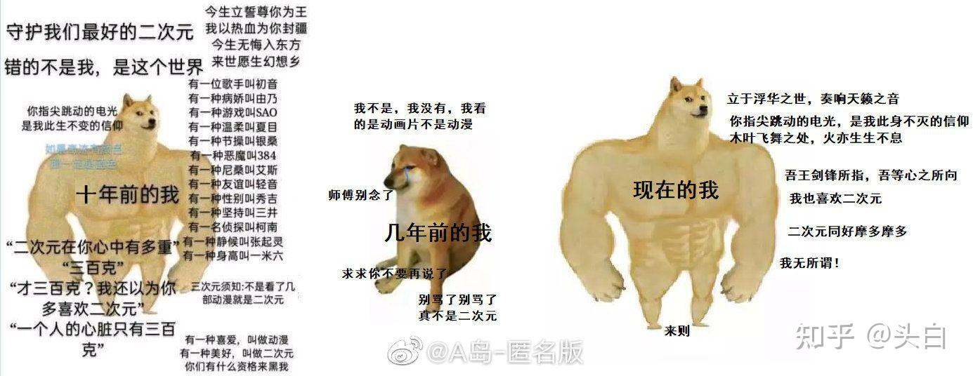 二次元萌新和二次元大佬的区别是什么