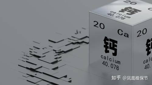 什么是钙元素？钙元素对植物生长有什么作用？凤凰植保节揭晓 - 知乎