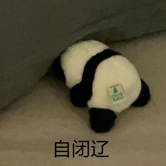 135张笑到不行表情包 - 知乎