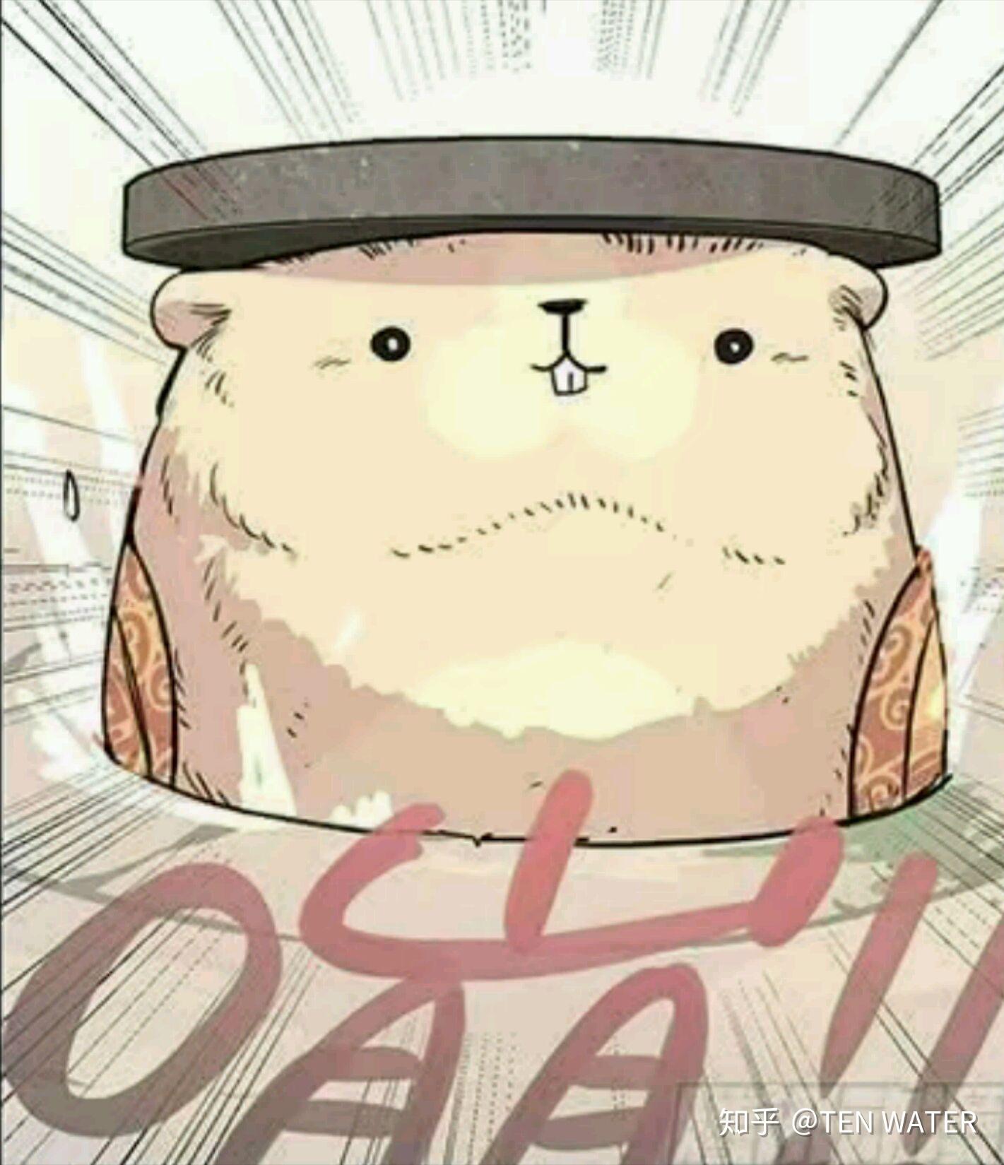 如何评价漫画《万事万灵》？ - 知乎