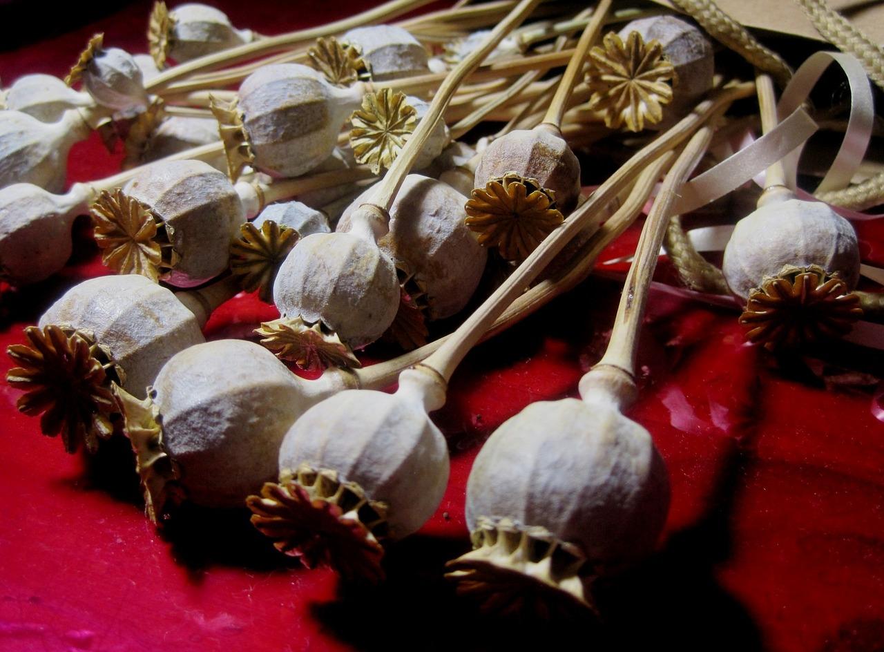 1. 深色衣物漂白