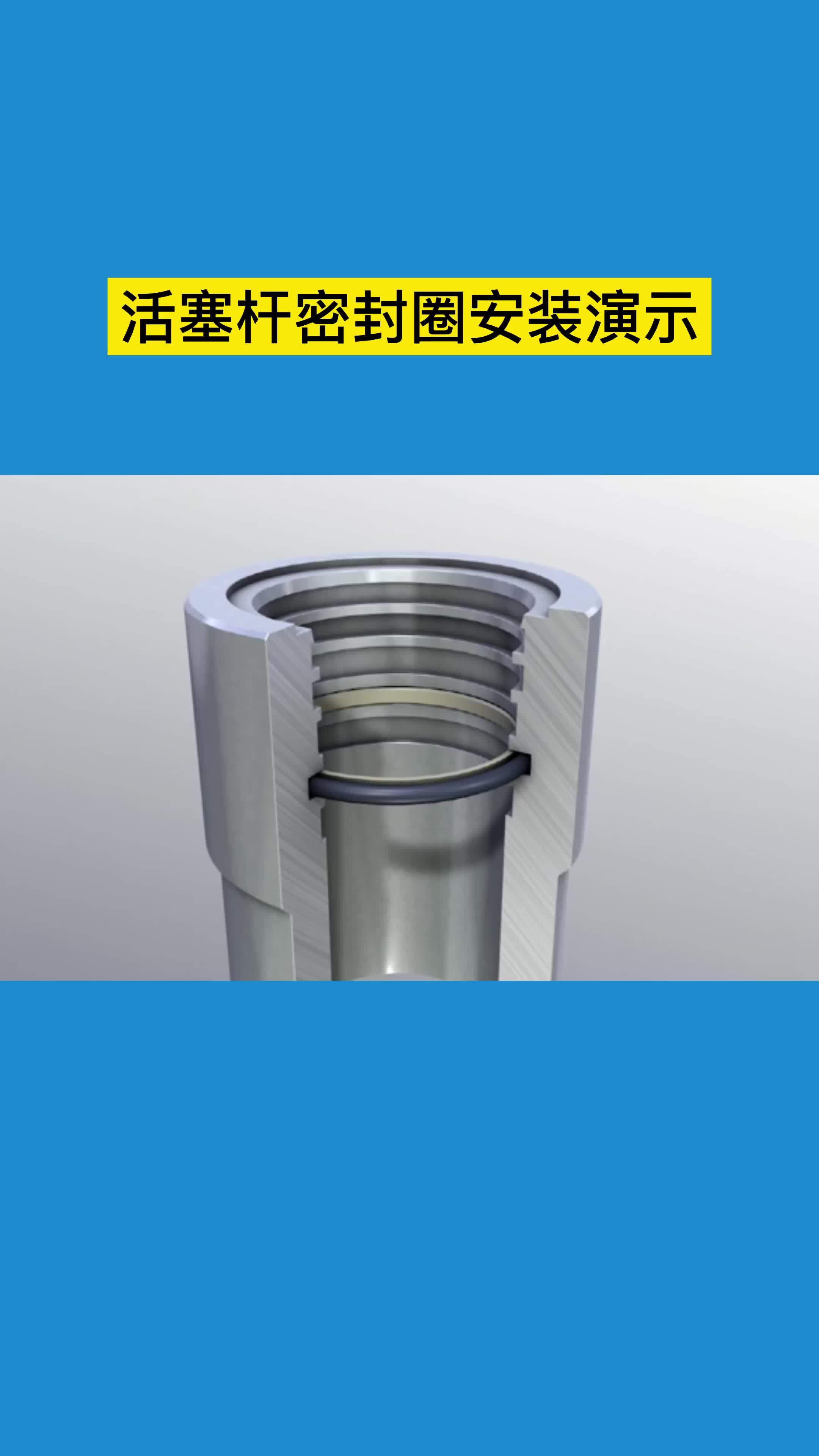 活塞杆密封圈安装演示