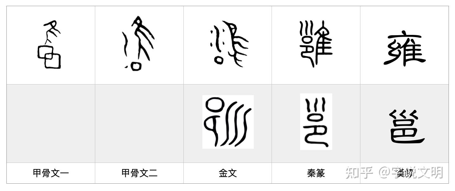 雍——每日一字·隹部字 - 知乎