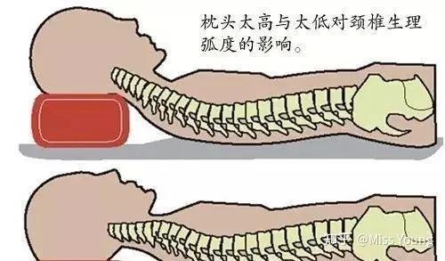 正确的睡姿到底是什么? - 知乎