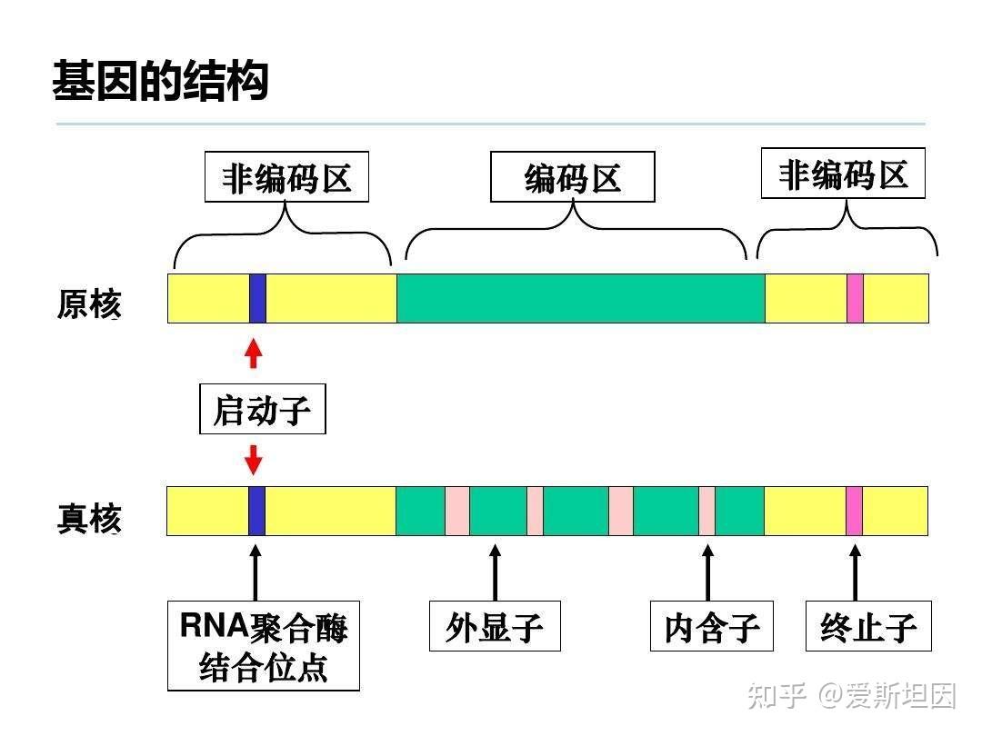 Windows10上WinShiftS截图的图片保存到哪里去了怎么存到桌面上百度知道