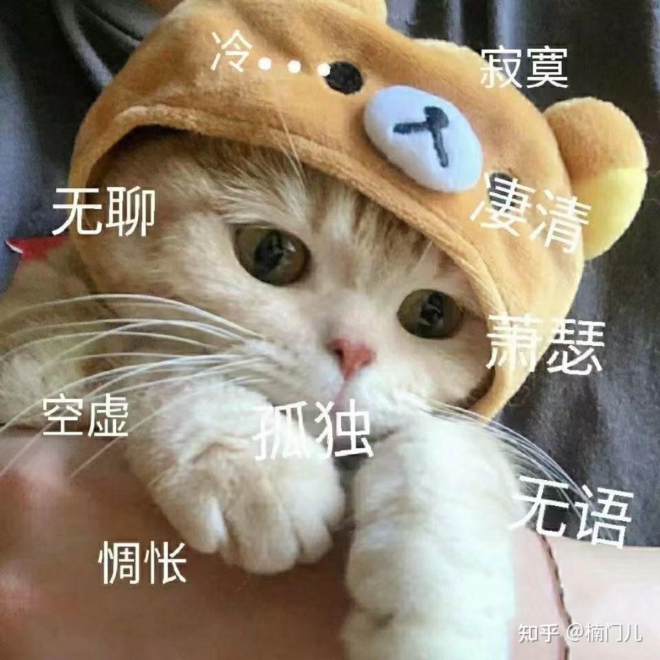 男生是不是普遍都很懒？ - 知乎