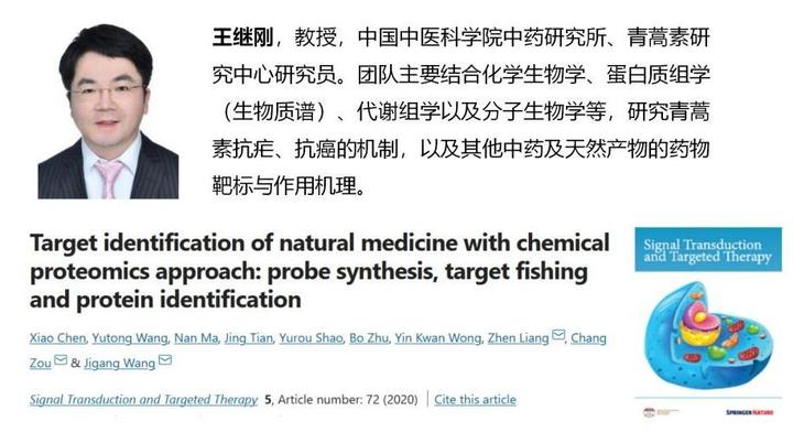 综述39+高分揭示天然药物的靶标的“伯乐”:化学蛋白质组学 - 知乎