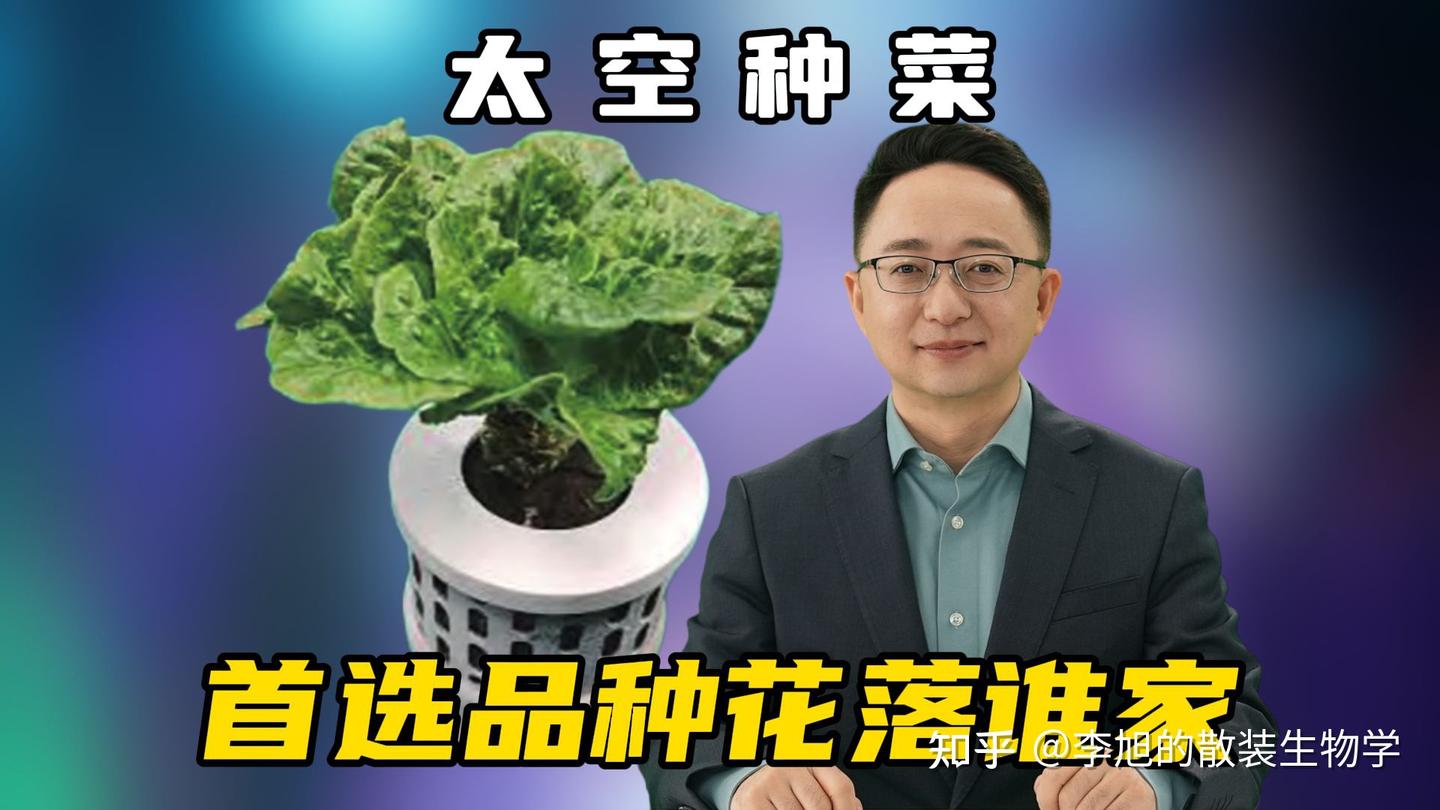 种菜传统已延伸到太空，中国航天员首次在太空种植的蔬菜是什么？ - 知乎