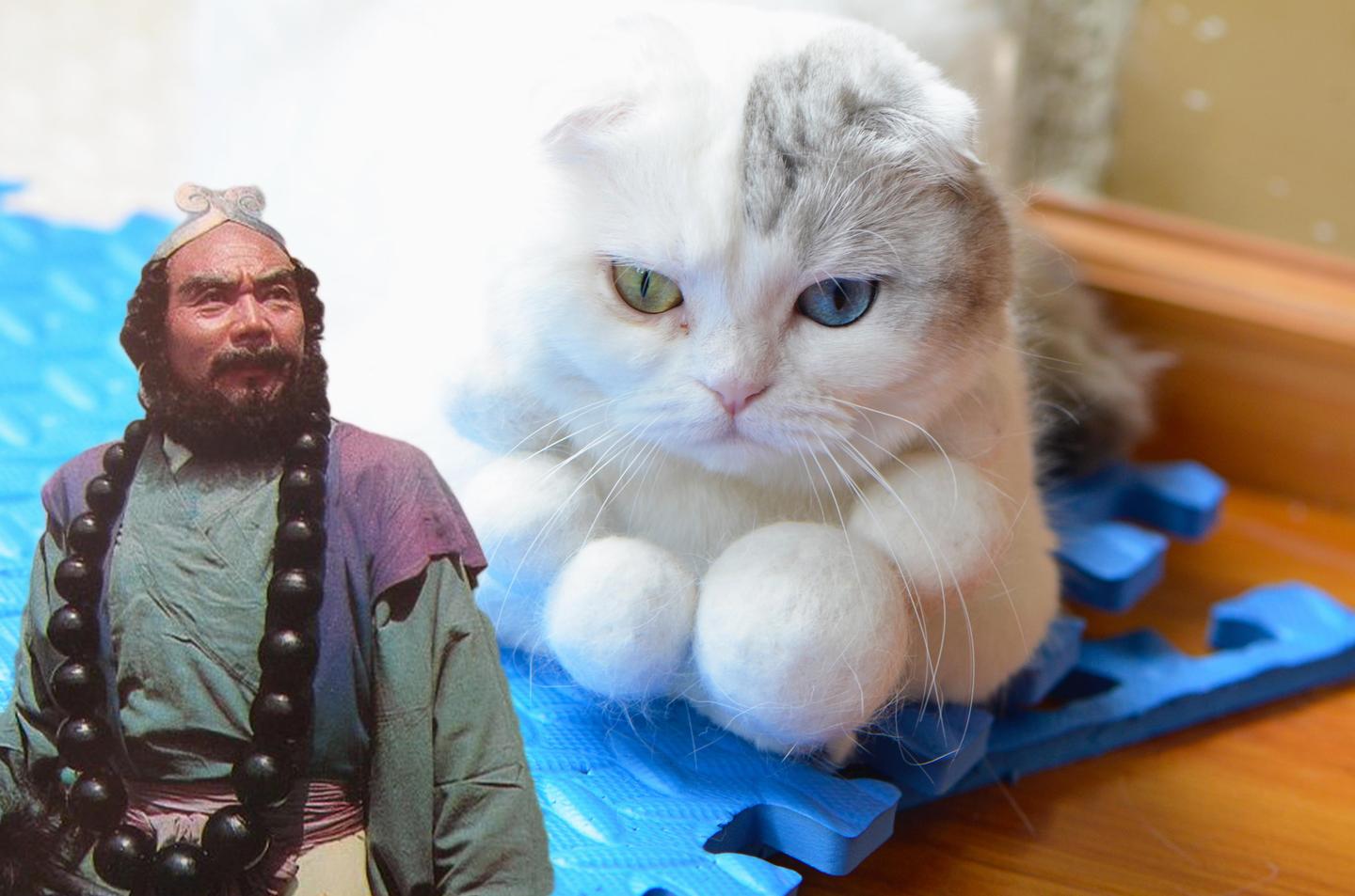 猫毛还能做项链 看心灵手巧的铲屎官如何变废为宝 知乎