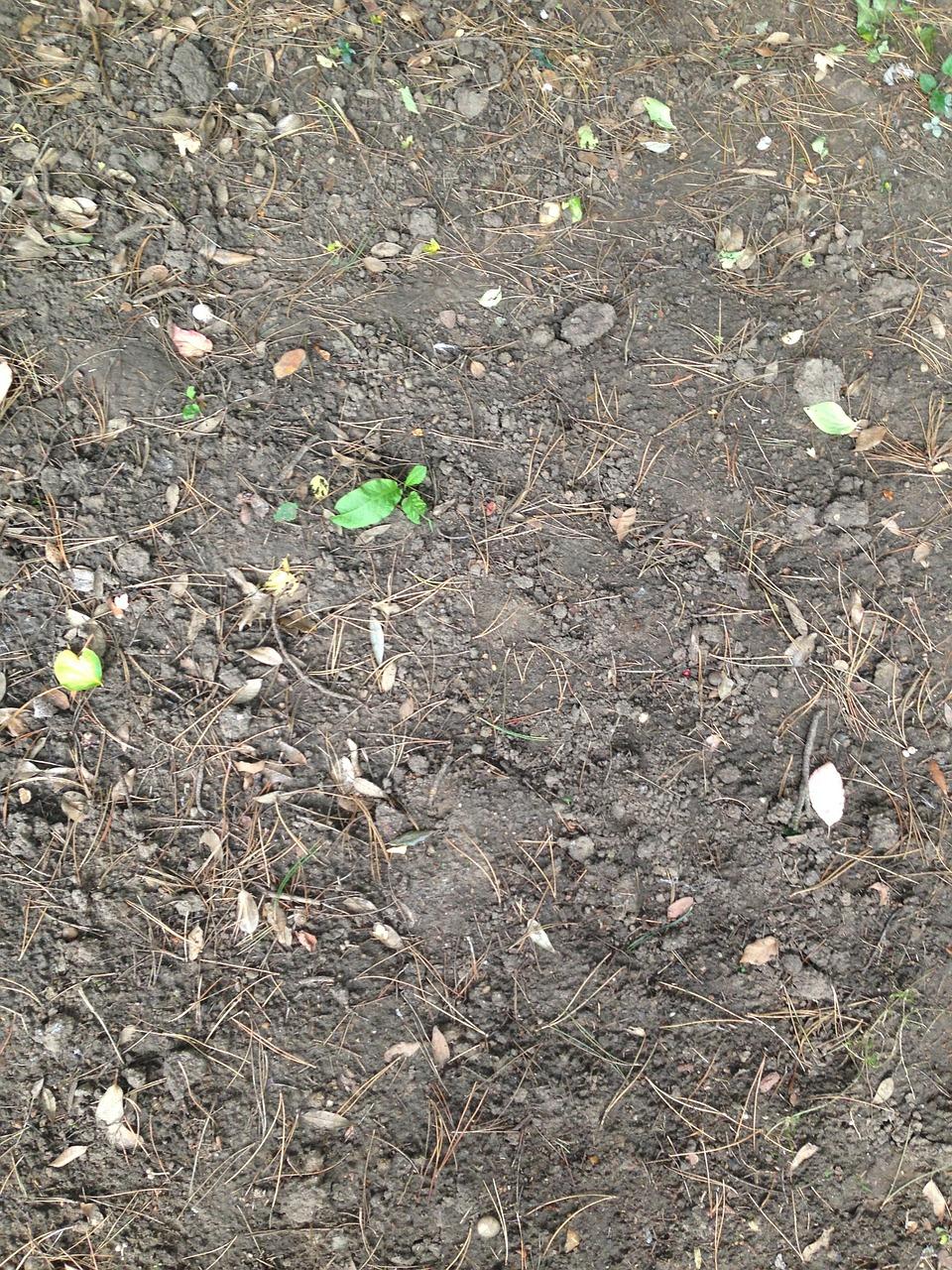 4. 酸性土壤改良