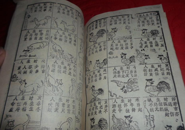 三世演禽:探寻命运密码,解析生命轨迹的古老智慧!
