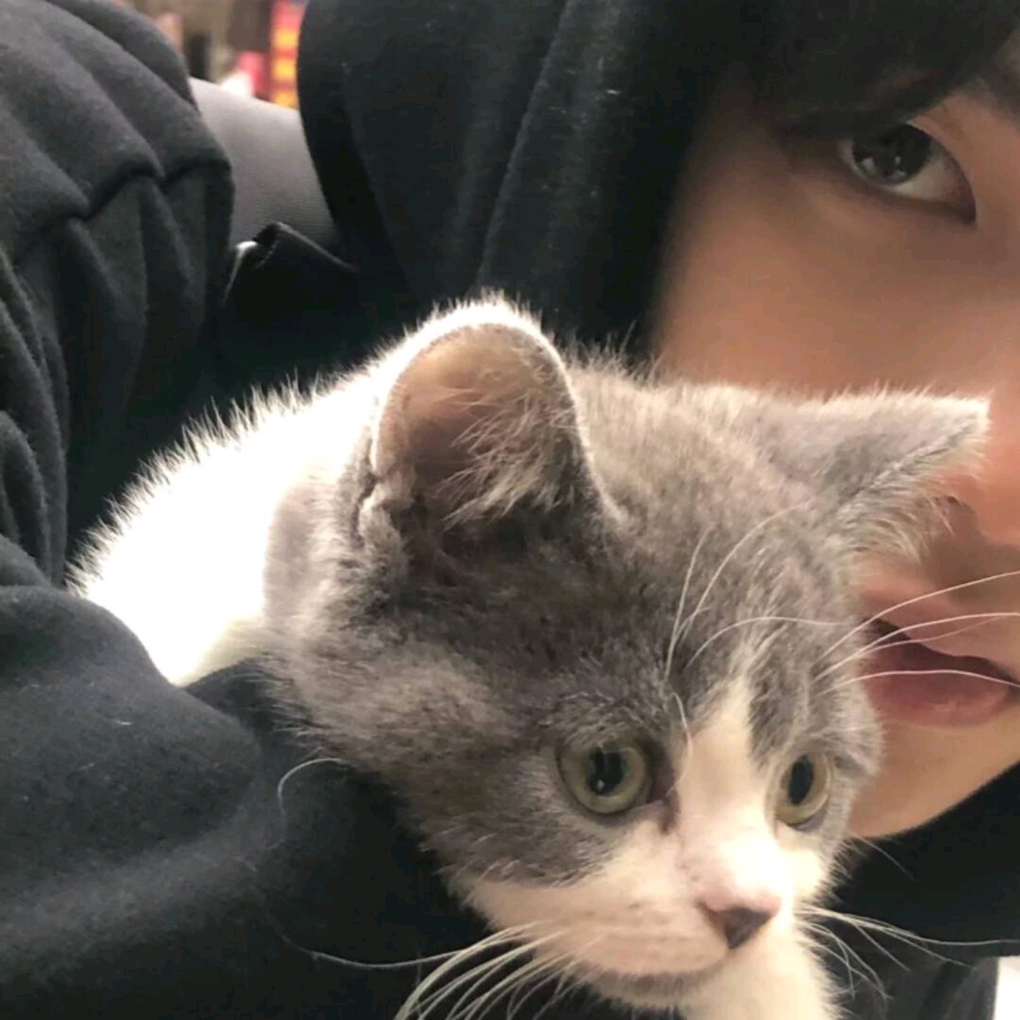 有什么适合男生的微信头像? - 知乎