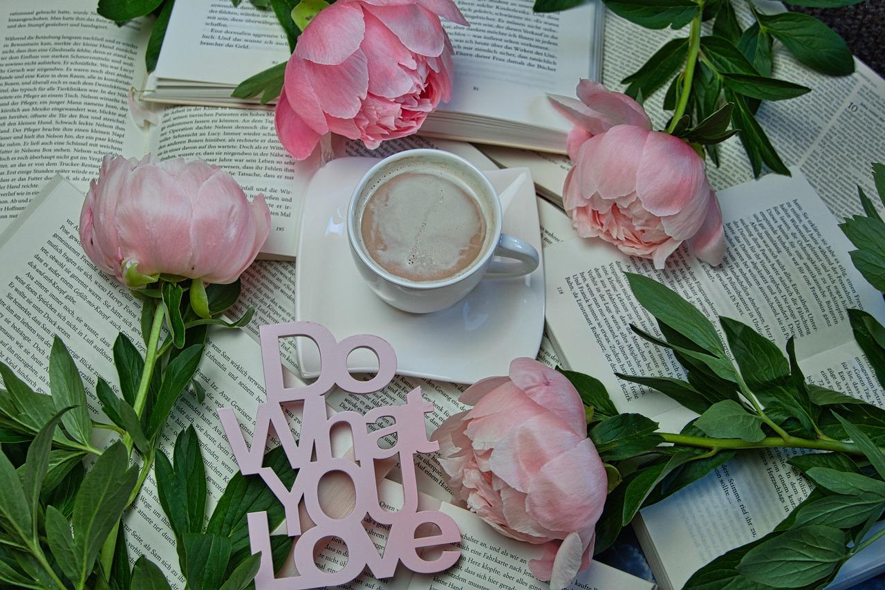 孩子成长 梦想起航