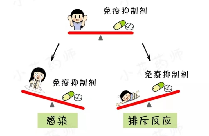 免疫抑制剂口服注意事项 - 知乎