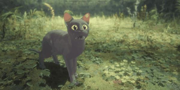 《猫猫的奇幻漂流》100%好评,2024神作,全片无台词的它凭什么?
