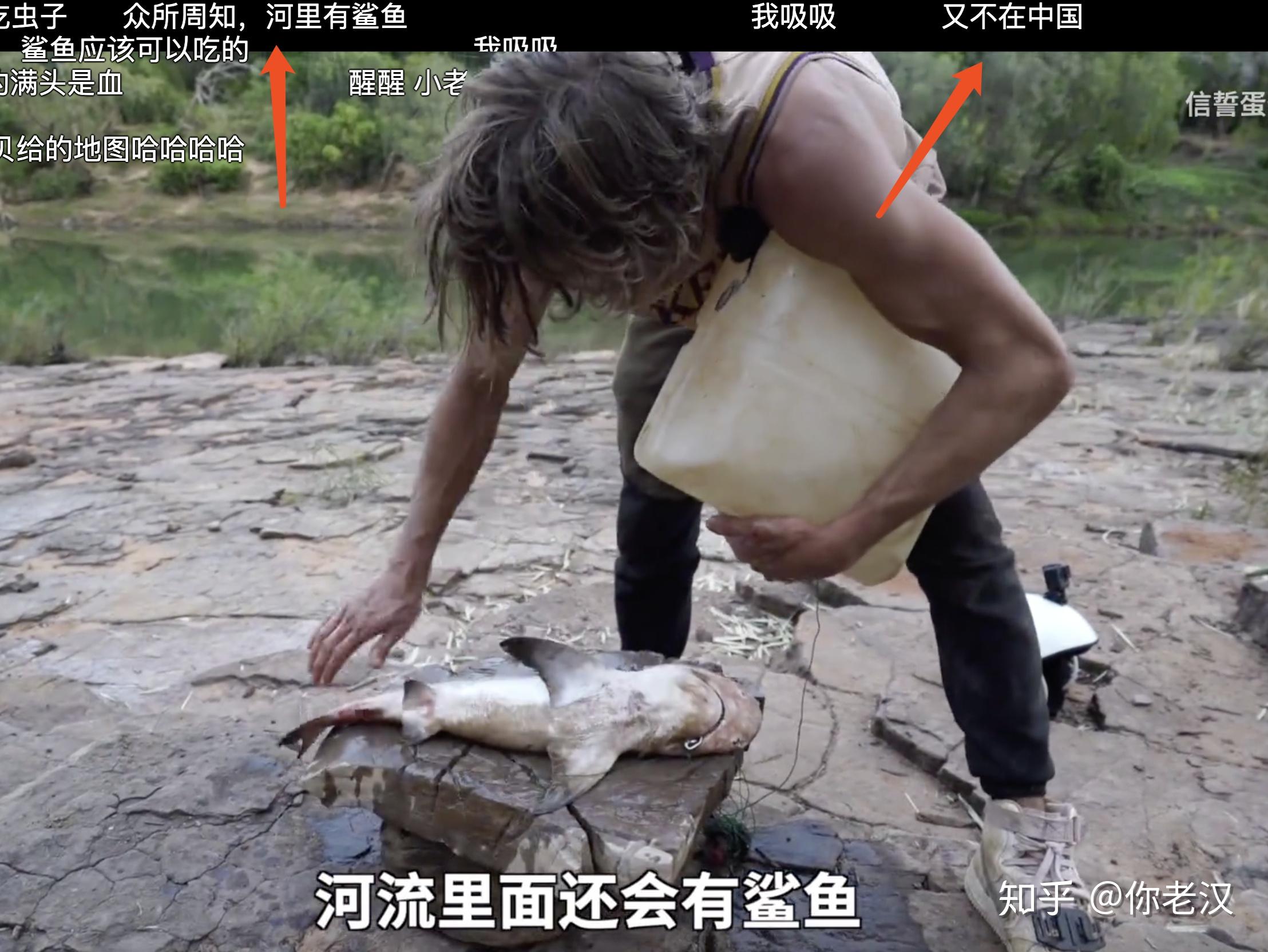 如何看待b站新进up信誓蛋蛋澳大利亚荒野求生最新一期视频钓鲨鱼疑似