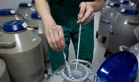 甜丁app科普冷冻胚胎是什么