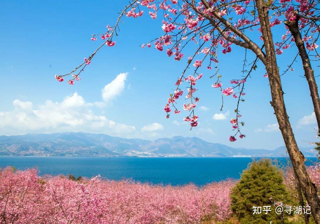 寻湖|抚仙湖:全国最大蓄水量湖泊 - 知乎