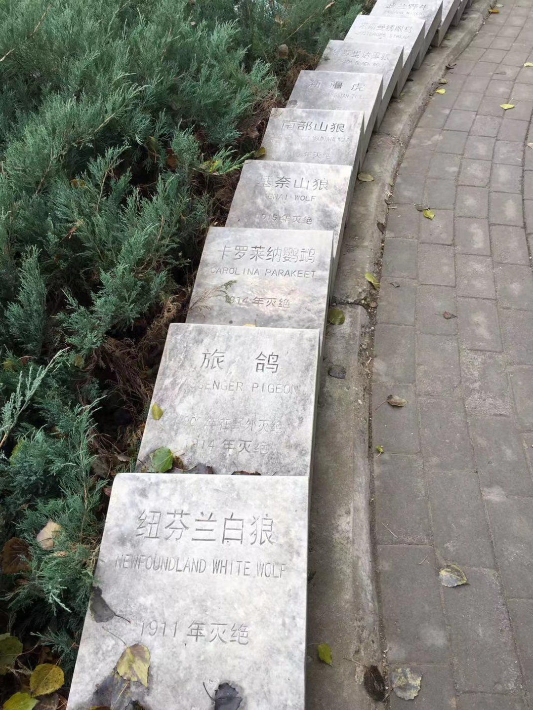 北京游记南海子麋鹿苑麋鹿自然保护区灭绝动物墓地