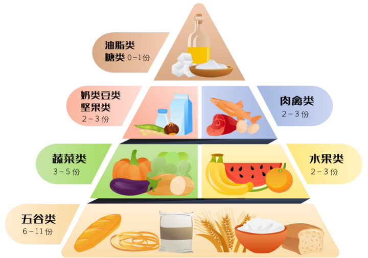 營養膳食金字塔是什麼看完這篇你就知道了