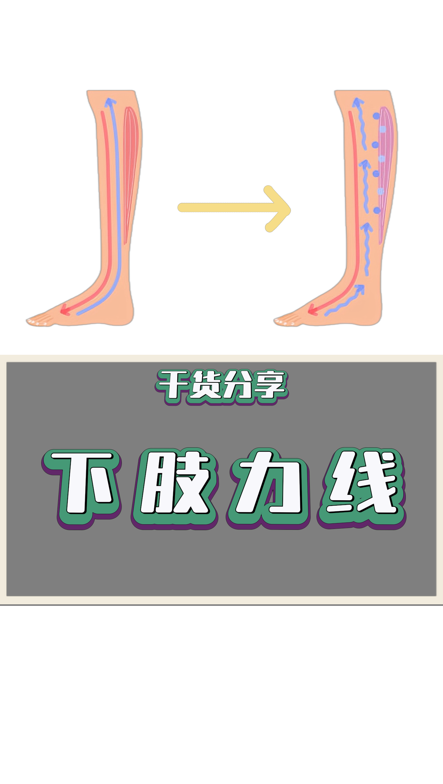 下肢力线问题其实没有想象那么复杂每天练这个动作就能很好改善