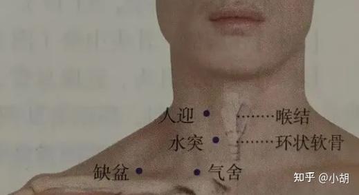 倪海厦针灸课笔记(10)足阳明胃经 上 - 知乎