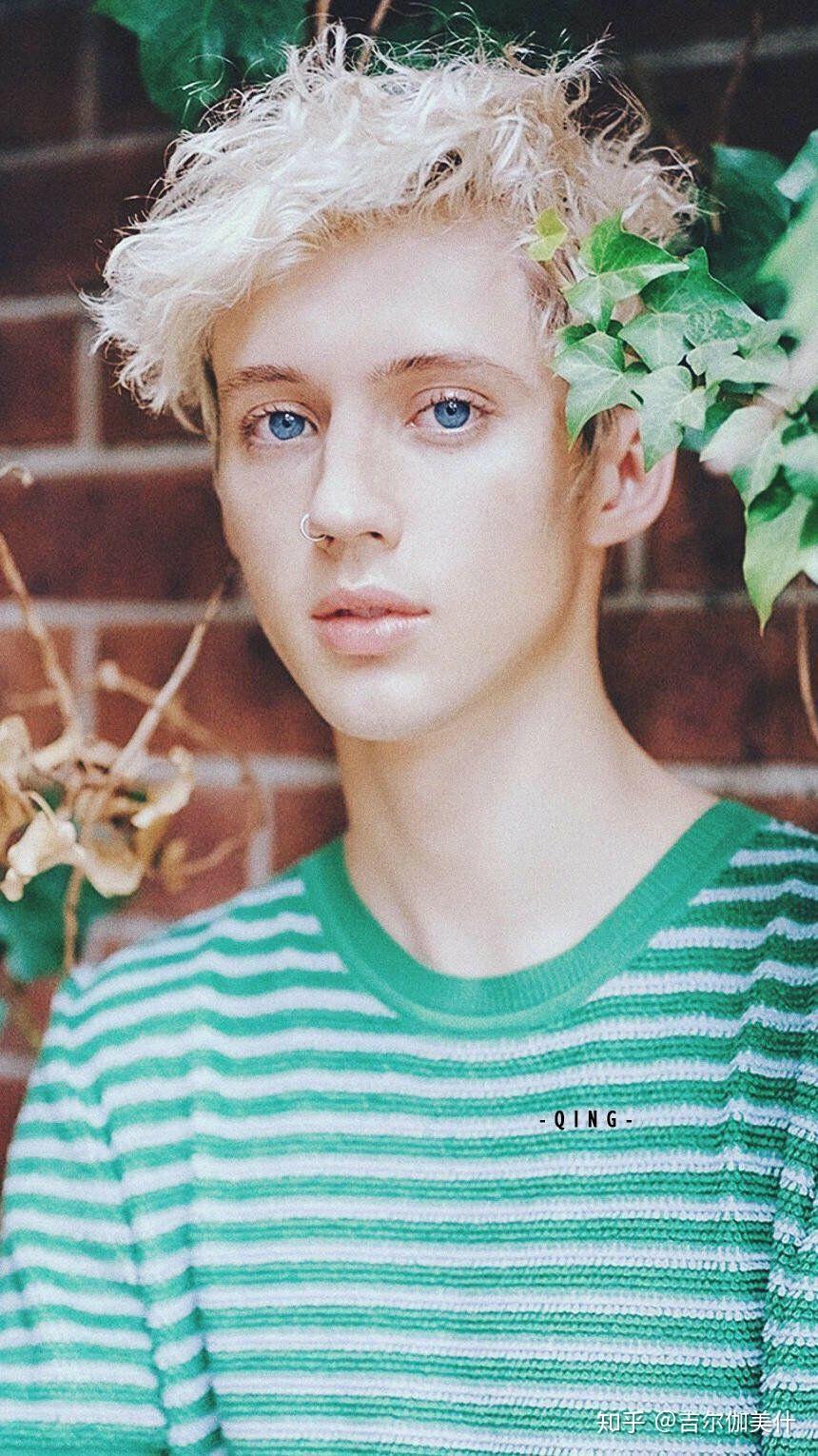 戳爷troye sivan的悲伤之境三部曲的含义以及解读?