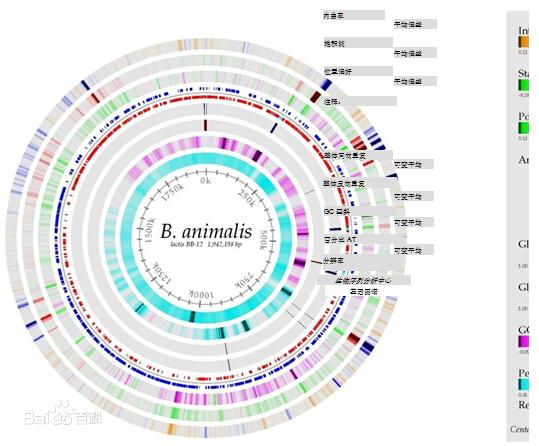 《动物双歧杆菌乳亚种BB-12与健康》---论文阅读收获 - 知乎