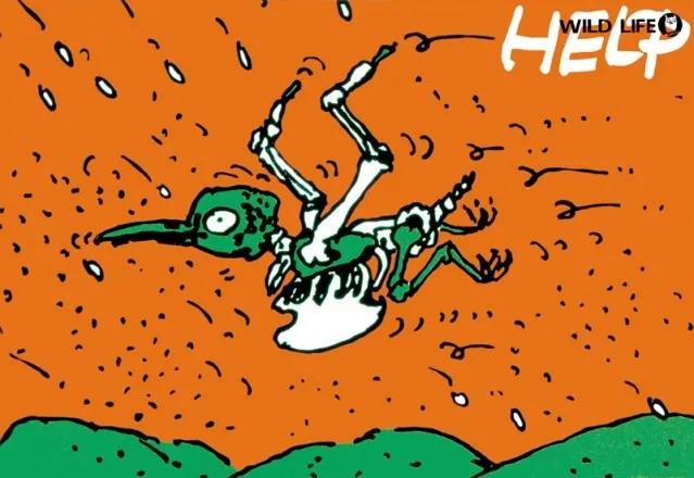 教授科普 多摩美术大学平面设计系教授 秋山孝 知乎