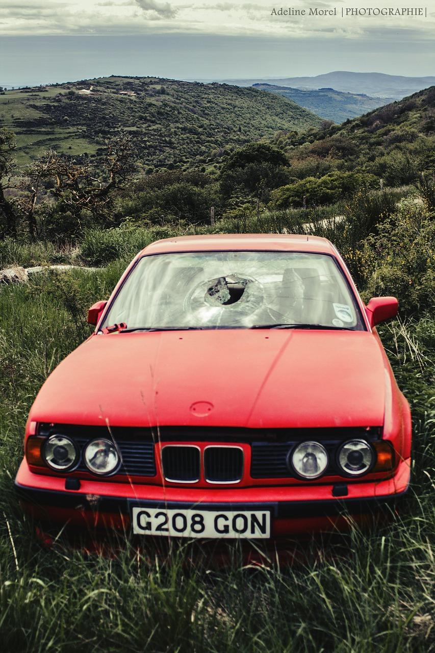 2. 进口品牌推荐