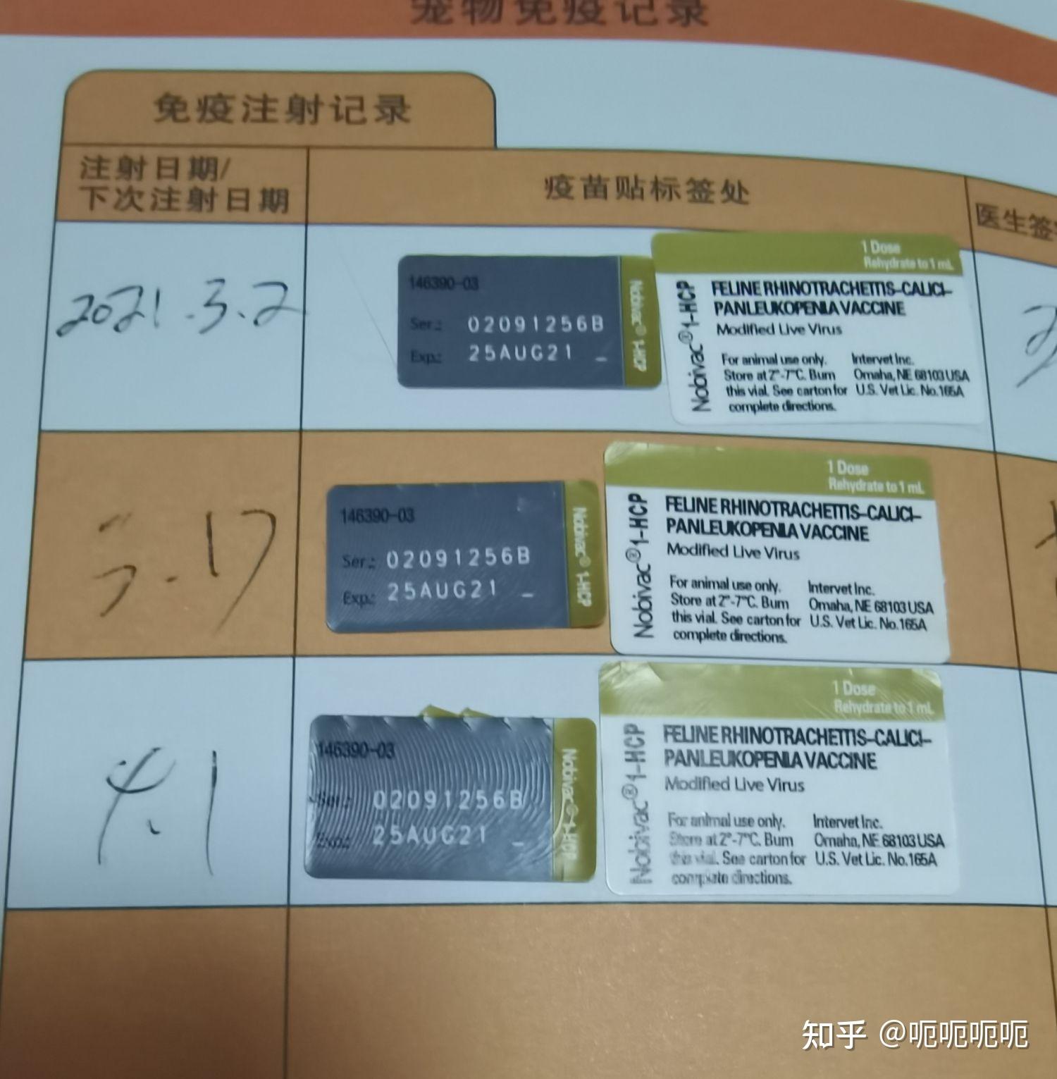 求问大家看看小猫疫苗英特威真假? - 知乎