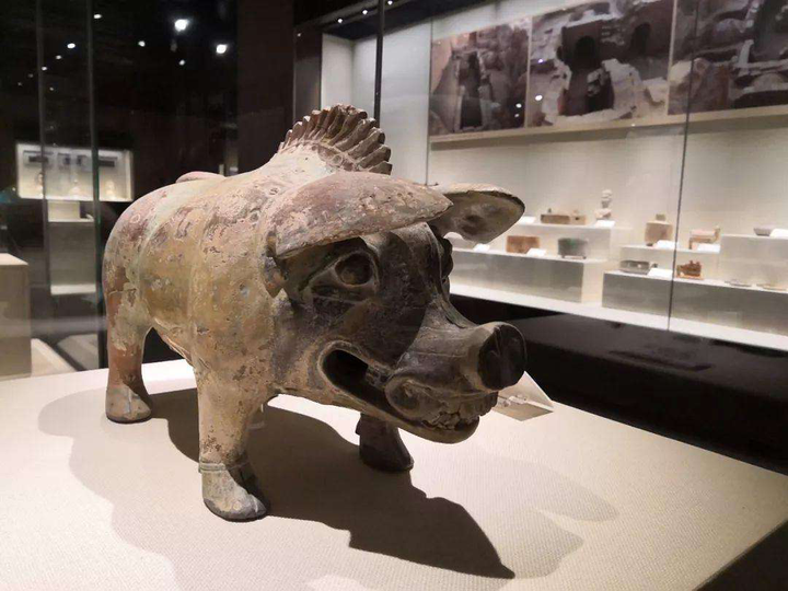 古代中国人为什么养猪？——与猪同行的10000年 - 知乎