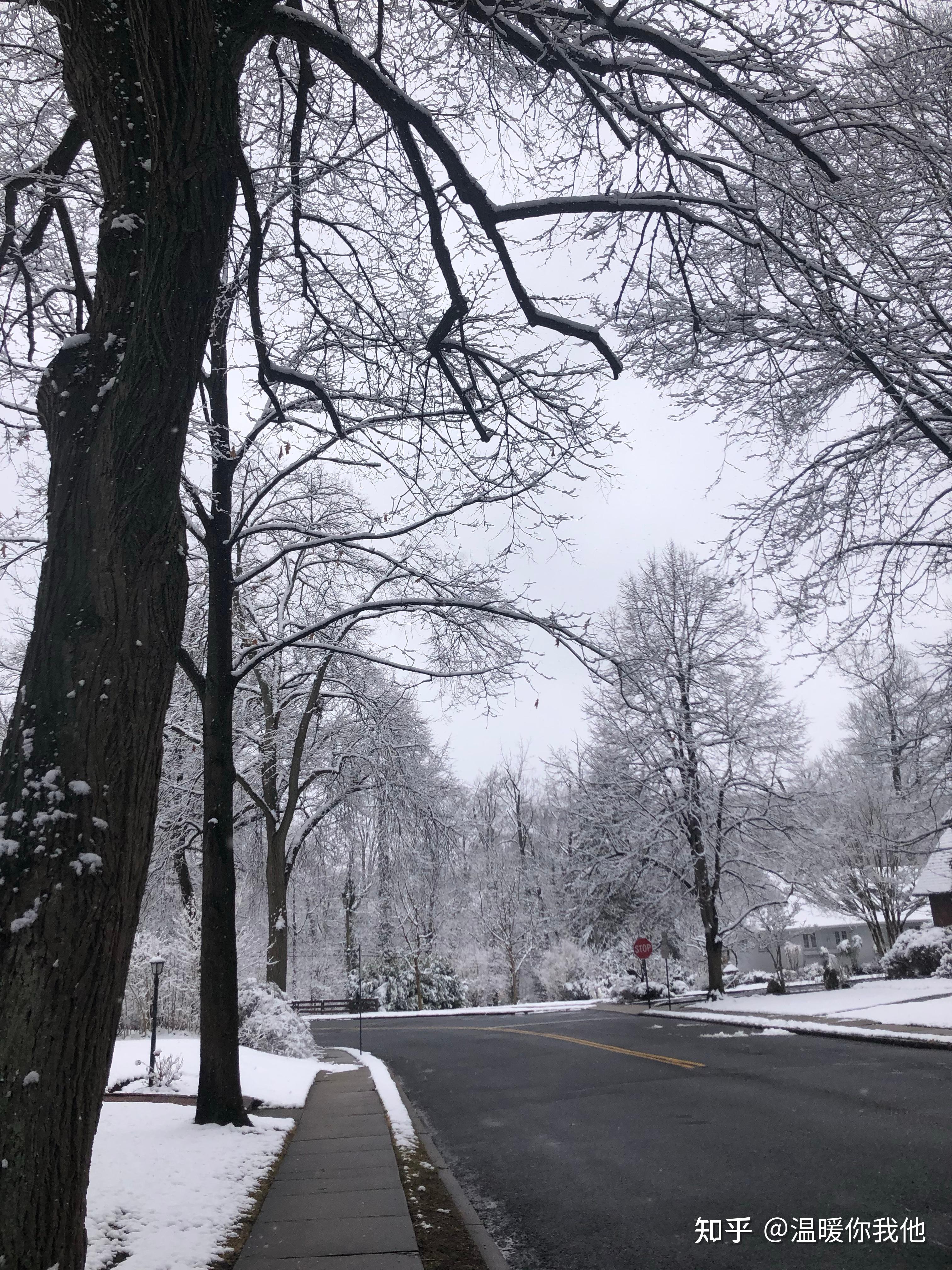 你经历的城市雪景中哪里最让人印象深刻