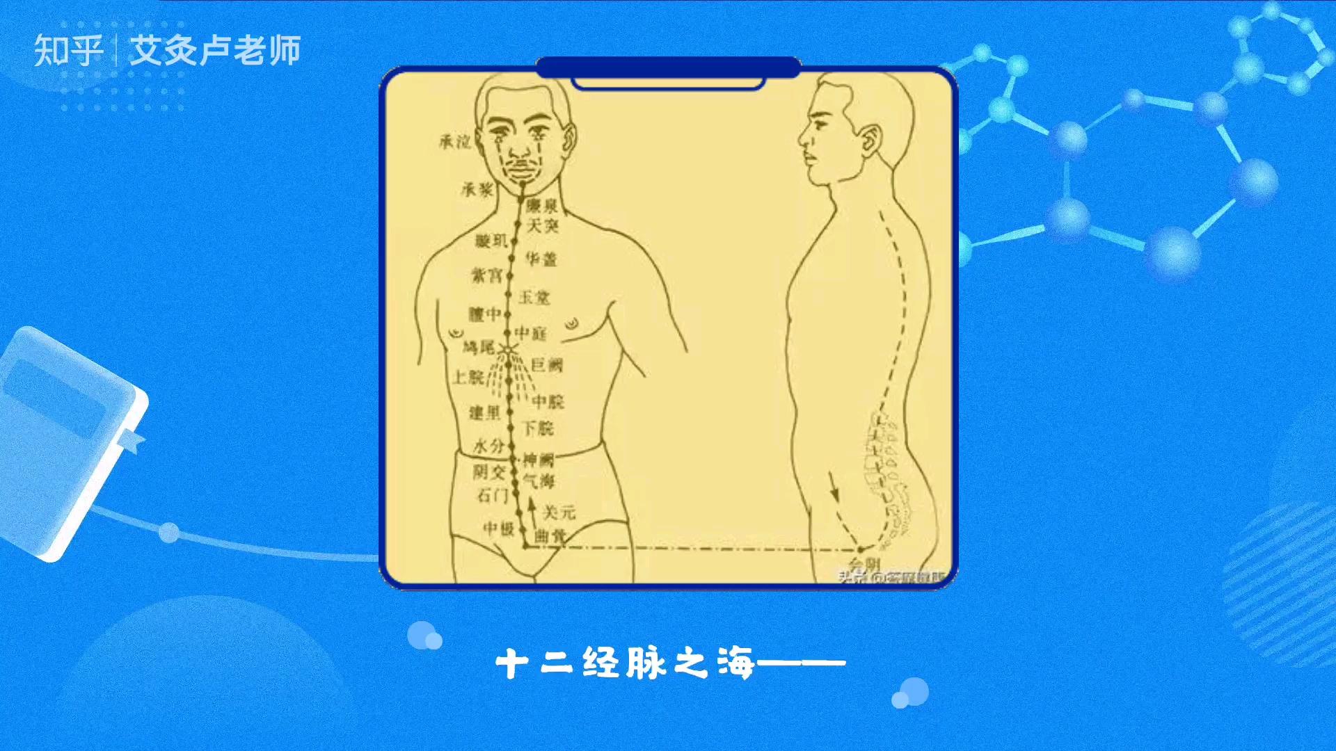 奇经八脉之冲脉