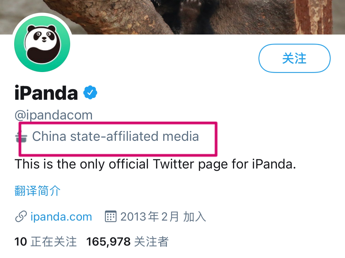 如何看待回形针paperclip和大象公会的b站账号被注销