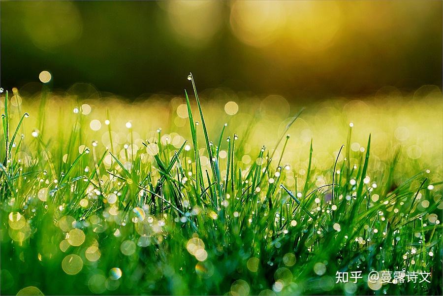晚唐诗人李商隐 是如何将轻快心情写入诗中的?《晚晴》 - 知乎