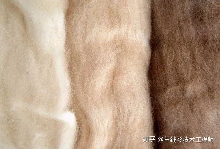 羊绒原料的白绒VS青绒VS紫绒, 你会在意吗? - 知乎