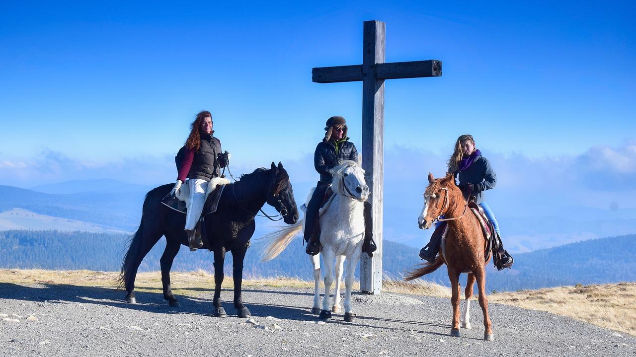 上林路交叉口信息