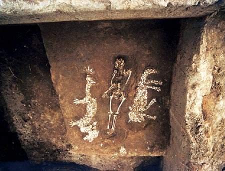 西水坡遗址的蚌塑龙虎墓是否是考古造假? - 知乎