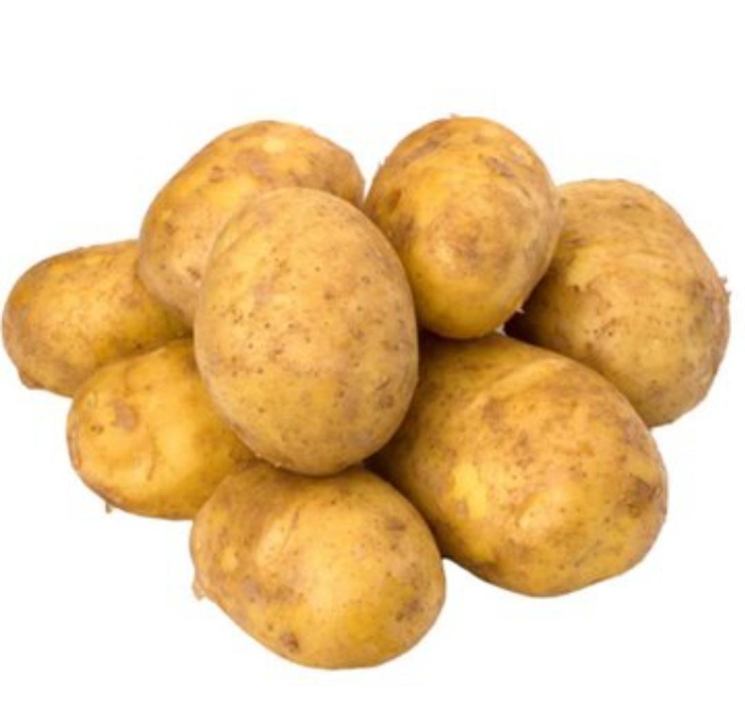 穿越回古代土豆玉米红薯只能带一样带哪种最好