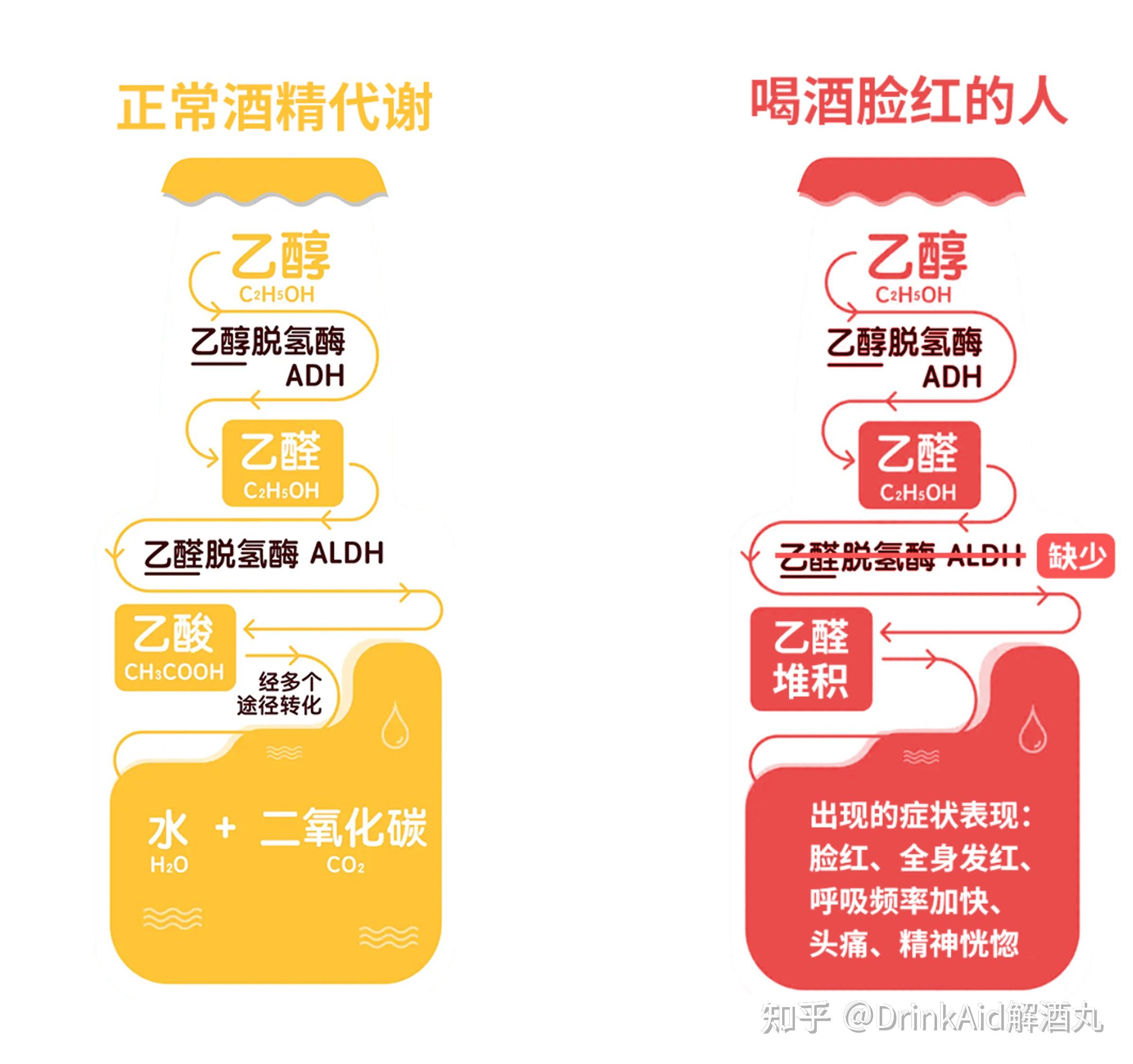 为什么喝完酒 为什么喝完酒